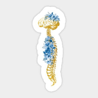 Human Spine with Brain Sticker